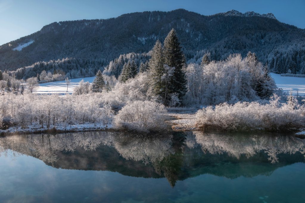 Scenic winter landscape with snow-covered trees and reflection in Jesenice, Slovenia.